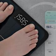Review Etekcity Smart Scale Body Weight BMI Body Fat Bluetooth Health Tracking At Home