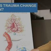 How Does Trauma Change The Brain Simple Guide