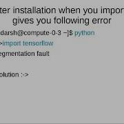 Import Tensorflow In Python Gives Segmentation Fault