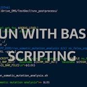 FUN WITH BASH SCRIPTING Fun With Linux 5