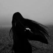 Lieless Till The End