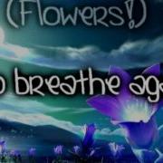 Evanescence Imaginary Origin S Version Lyrics