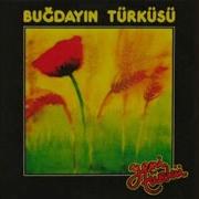 Sonbahardan Çizgiler