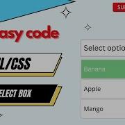Custom Select Box Html Css
