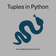 Tuples In Python Immutable Data Structures