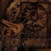 Necrophagist Mutilate The Stillborn