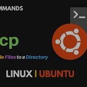 How To Copy Multiple Files To A Linux Directory Using Cp Command In Linux Terminal