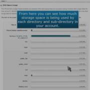 How To Use The Disk Space Usage Tool In CPanel