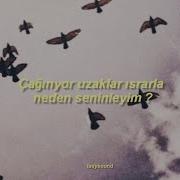 Göksel Gidemiyorum Sözleri