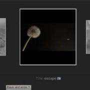 WebGL Flickr Demo 2