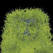 JMonkey EmitterStatic02