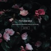 Bootstrap Carousel Full Width With Captions In The Center