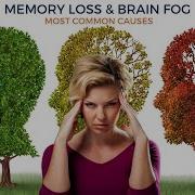 Memory Loss Brain Fog Most Common Causes