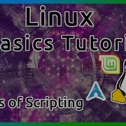 Basic Scripting Linux Tutorial Part 14