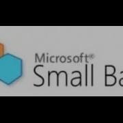 PPAP Small Basic