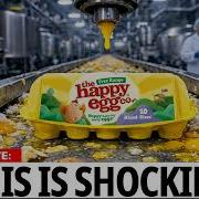 I Investigated 8 UK Egg Brands Only 2 Are Safe