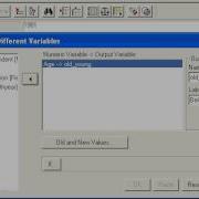 05 Compute And Recode In SPSS 11 5