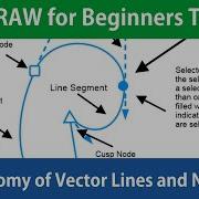 CorelDRAW For Beginners The Anatomy Of Vector Lines And Nodes Tutorial