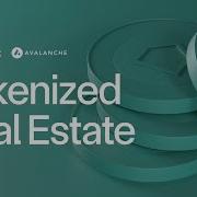 How To Tokenize A Real World Asset RWA On Avalanche