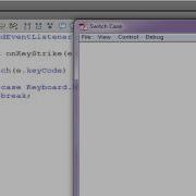 Flash CS3 CS4 Actionscript 3 0 Basics Tutorial Switch Case Statements 9