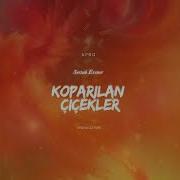 Sertab Erener Koparılan Çiçekler Erdem Öztürk Remix Afro House