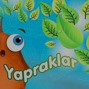 Yapraklar Neden Dökülür Okul Öncesi Eğitici Animasyon Anne Bu Ne
