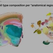 Visualizing Spatial Transcriptomics With U CIE Color Encoding