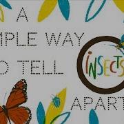 A Simple Way To Tell Insects Apart Anika Hazra
