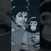 Could Michael Jackson S Monkey Bubbles Do The Moonwalk MichaelJackson