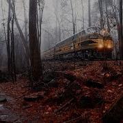 Relaxing Walk In Thunderstorm Binaural Rain And Nature Sounds For Sleep And Study 4k ASMR