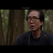 Inside Aokigahara The Chilling Mysteries Of Japan S Suicide Forest
