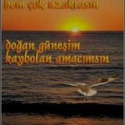 YUNUS ALAN ARALARDA