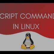 Script Command In Rhel8