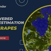 Intelligent Yield Estimation For Grapes With Proofminder AI Model