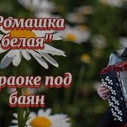 Ромашка белая Караоке под баян