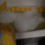 Hilarious Moment Woman Gives Cute Giant Python A Bubble Bath Daily Mail