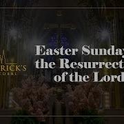 Easter Sunday Of The Resurrection Of The Lord March 31st 2024
