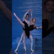 Russian Ballet Black Swan Dance Swan Lake Ballet
