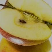 Apple Decomposition Timelapse