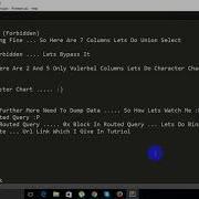 23 Binary To Routed Query Sql Injection