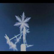 Snowflake Science Time Lapse 1