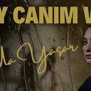 Eda Yaşar Vay Canım Vay Official Lyric Video