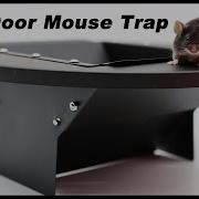 The TRAP Door Mouse Trap Makes Mice Disappear A Great New Design Mousetrap Monday