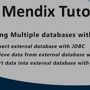 Connect Multiple Database With Mendix