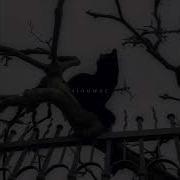 Vestron Vulture Phantom Slowed Reverb