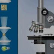 Principle Of Operation Of The Light Microscope