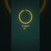 How To Create Circle Animation In CapCut