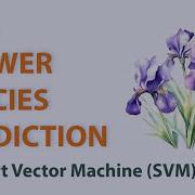 Iris Flower Species Prediction Part 2 Machine Learning SVM Classifier Python