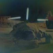 Gibi Git Official Video