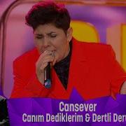Cansever CANIM DEDİKLERİM DERTLİ DERTLİ